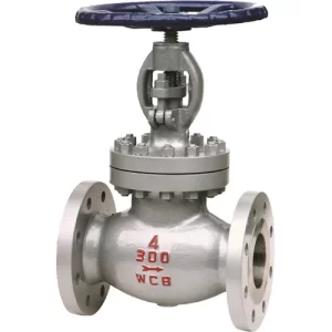 4. Globe Valves