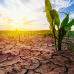 How can we solve the problem of drought?