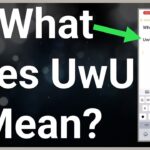 UWU