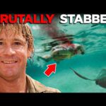 Steve Irwin