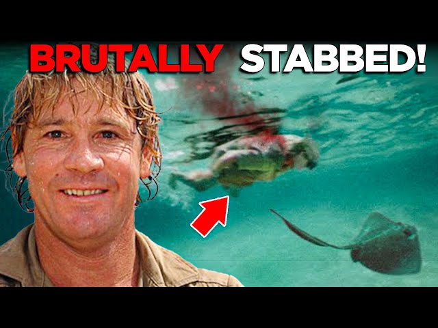 Steve Irwin