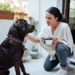 Dog Food