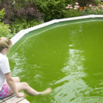 Green Pool