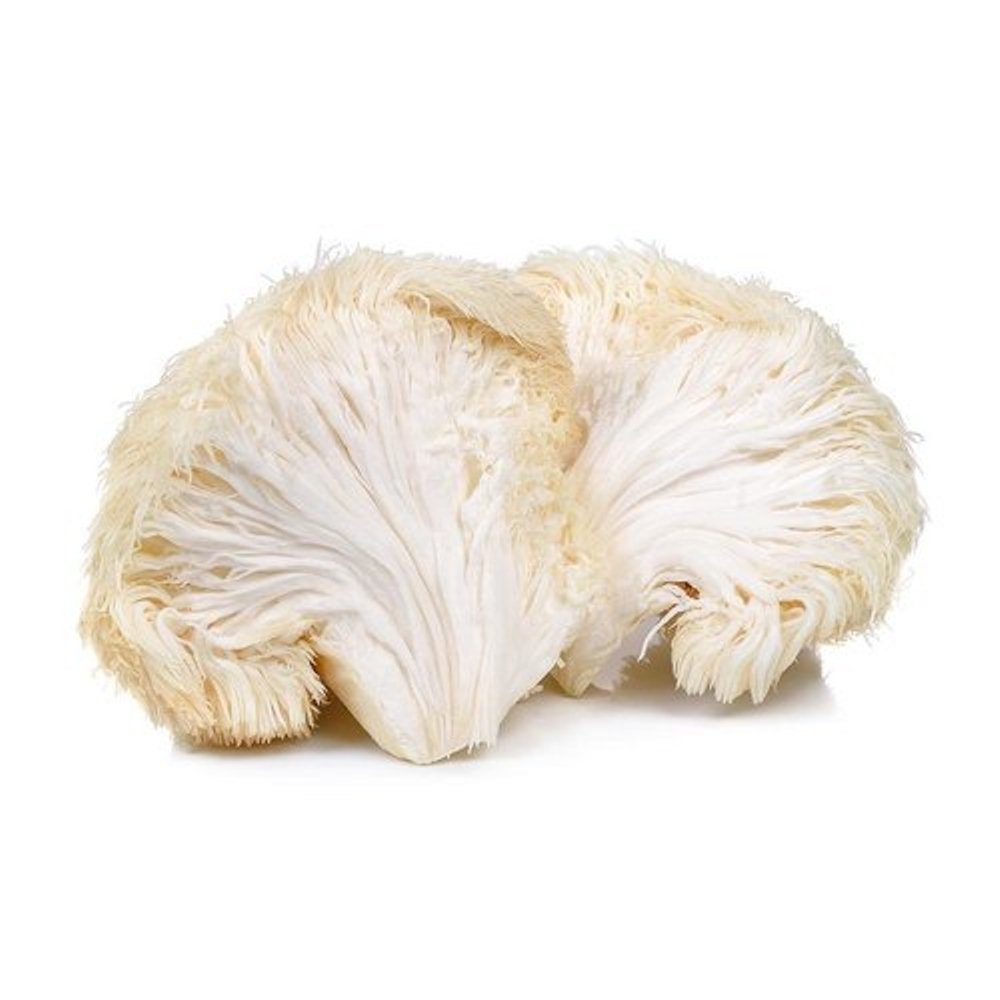 Lion's Mane Mushroom