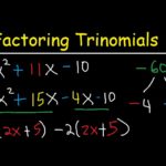 Polynomials