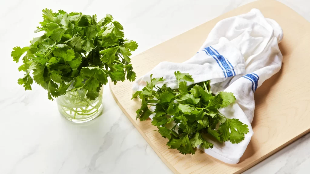 Fresh Cilantro