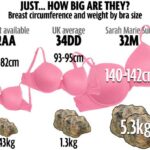 Bra Size