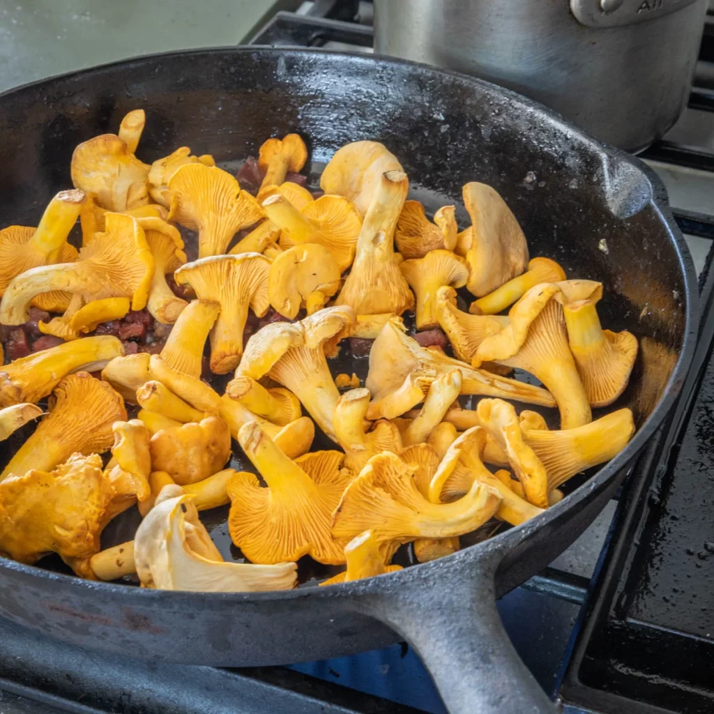 Chanterelles