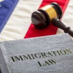 Immigration Lawyer